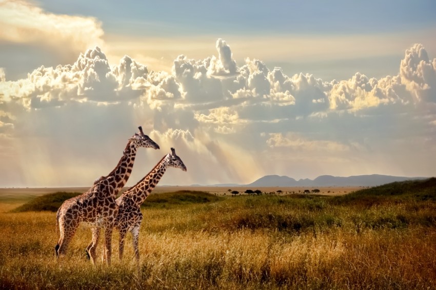 Tanzania’s Travel & Tourism Reached Record Breaking Levels in 2023